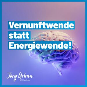 IMG_2672.jpeg