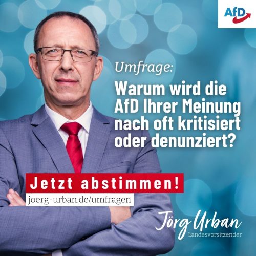 240513 Umfrage AfD.jpg