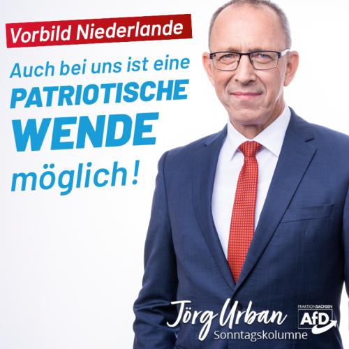 kolumne-19-05-2024-niederlande.png