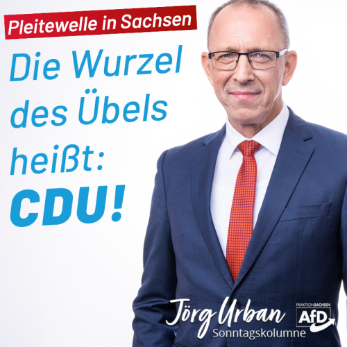 kolumne-26-05-2024-pleitewelle.png