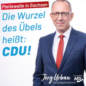 kolumne-26-05-2024-pleitewelle.png